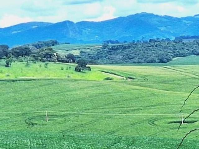Sítio e chácara venda em Região Geográfica Imediata de Pouso Alegre, Turvolândia