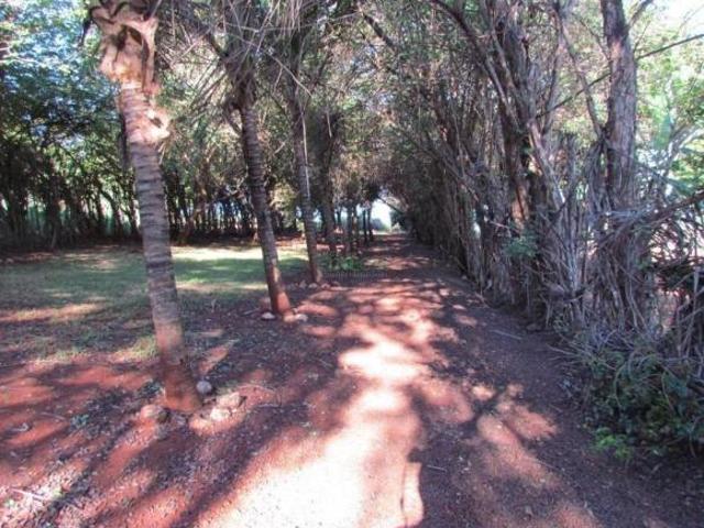 Sítio e chácara venda em Região Geográfica Imediata de Porto Alegre, Região Metropolitana de Porto Alegre