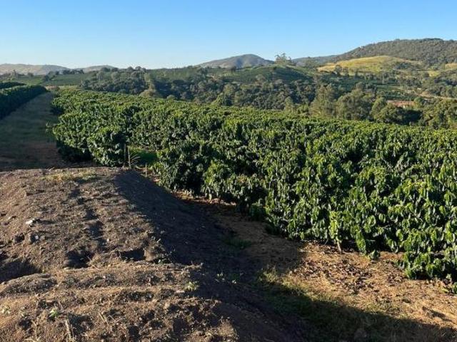 Sítio e chácara venda em Região Geográfica Imediata de Três Pontas - Boa Esperança, Ilicínea