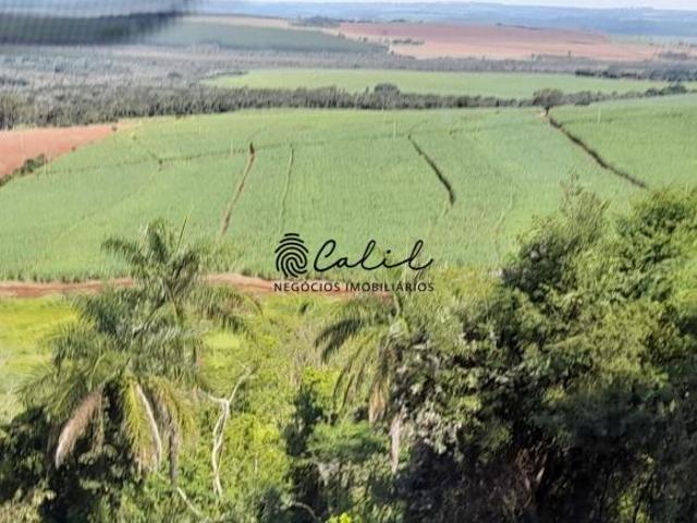 Sítio e chácara venda em Região Imediata de Ribeirão Preto, Região Metropolitana de Ribeirão Preto