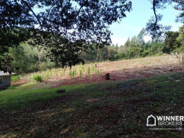 Sítio e chácara venda em Região Geográfica Imediata de Cascavel, Cascavel