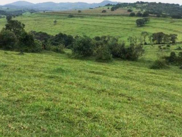 Sítio e chácara venda em Região Geográfica Imediata de Lavras, Bom Sucesso