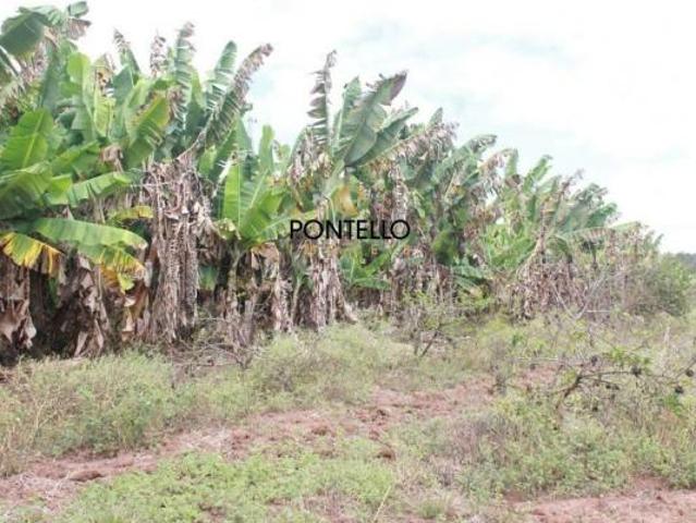 Sítio e chácara venda em Região Geográfica Imediata de Diamantina, Diamantina