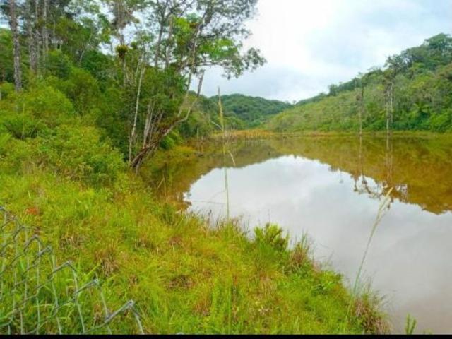 Sítio e chácara venda em Juquitiba