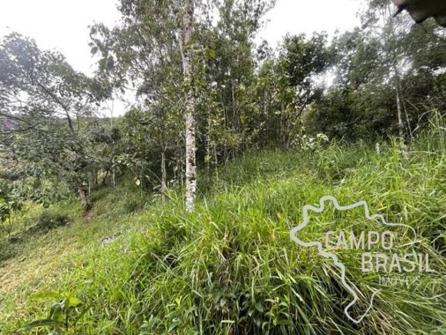 Sítio e chácara venda em Região Imediata de São José dos Campos, Região Metropolitana do Vale do Paraíba e Litoral Norte