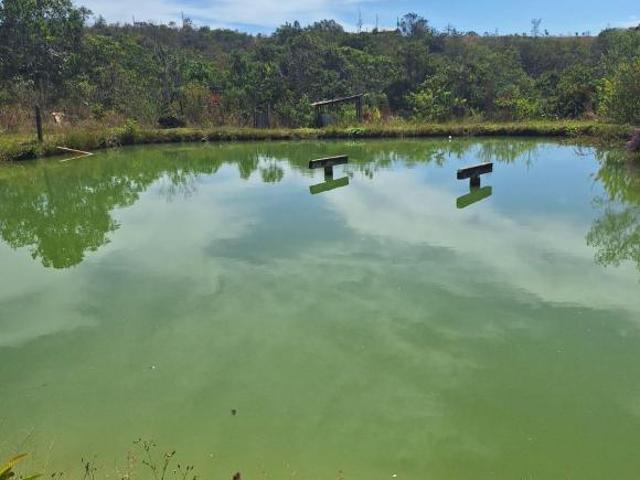 Sítio e chácara venda em Região Geográfica Imediata de Anápolis, Região Integrada de Desenvolvimento do Distrito Federal e Entorno