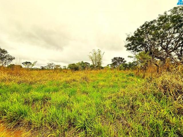 Sítio e chácara venda em Região Geográfica Imediata de Luziânia, Região Integrada de Desenvolvimento do Distrito Federal e Entorno