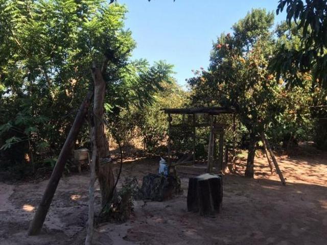 Sítio e chácara venda em Região Imediata de São José do Rio Preto, Região Metropolitana de São José do Rio Preto