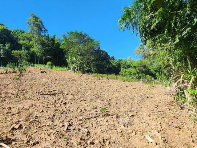 Sítio e chácara venda em Região Geográfica Imediata de Novo Hamburgo - São Leopoldo, Região Metropolitana de Porto Alegre