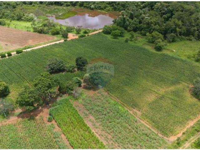 Sítio e chácara venda em Região Geográfica Imediata de Luziânia, Região Integrada de Desenvolvimento do Distrito Federal e Entorno
