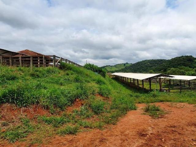 Sítio e chácara venda em Região Geográfica Imediata de São Lourenço, Carmo de Minas