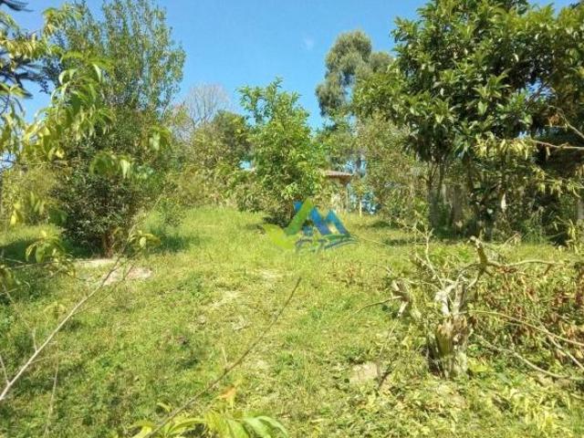 Sítio e chácara venda em Região Geográfica Imediata de Curitiba, Região Metropolitana de Curitiba