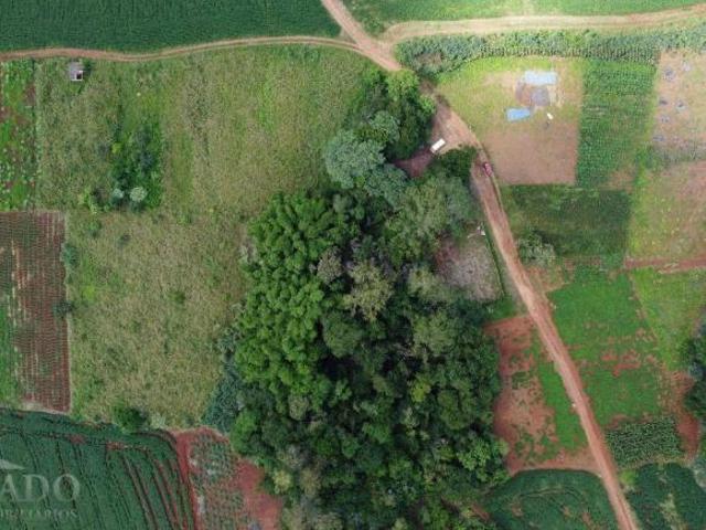 Sítio e chácara venda em Região Geográfica Imediata de Londrina, Ibiporã