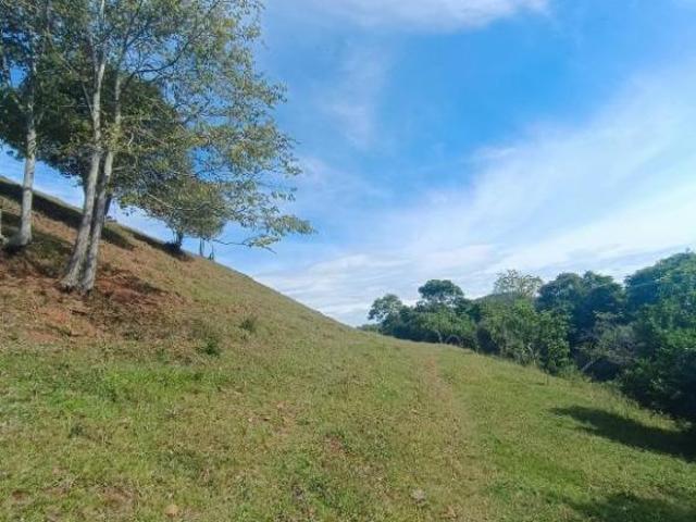Sítio e chácara venda em Região Geográfica Imediata de Encantado, Anta Gorda
