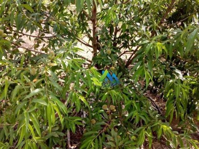 Sítio e chácara venda em Região Imediata de São Paulo, Região Metropolitana de São Paulo