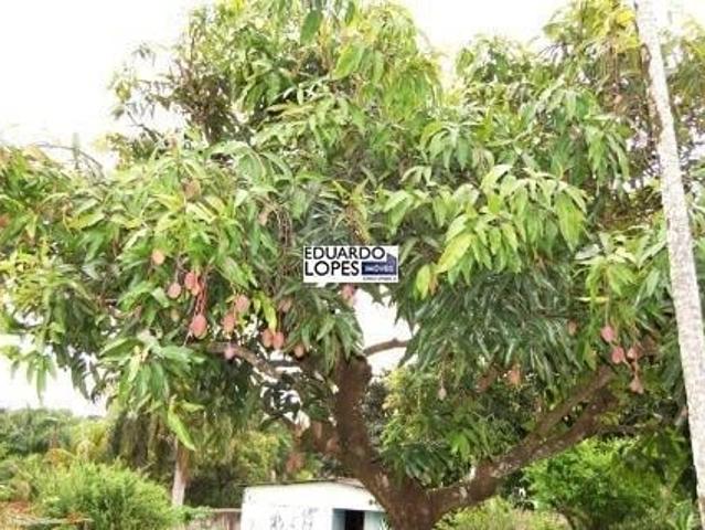 Sítio e chácara venda em Região Imediata de Sorocaba, Região Metropolitana de Sorocaba