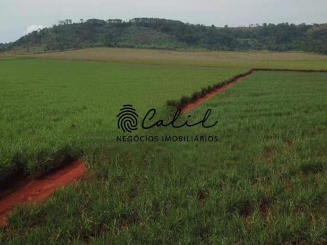 Sítio e chácara venda em Região Imediata de Ribeirão Preto, Região Metropolitana de Ribeirão Preto