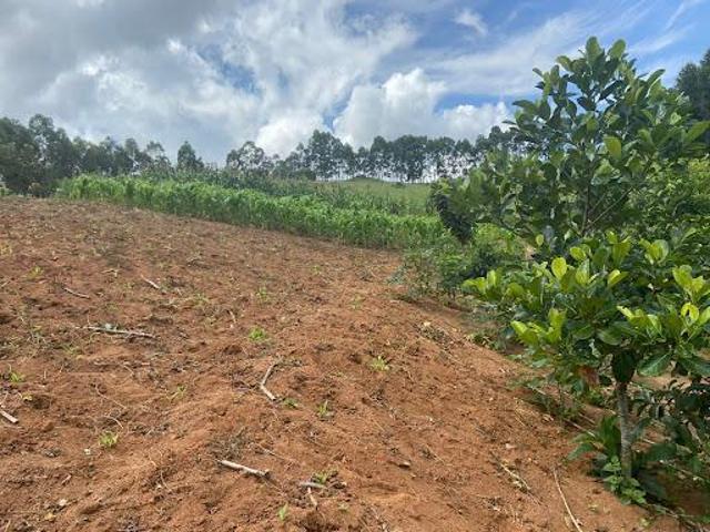 Sítio e chácara venda em Região Imediata de Bragança Paulista, Pedra Bela