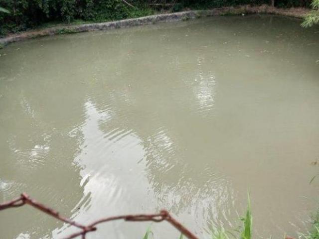 Sítio e chácara venda em Região Geográfica Imediata de Belo Horizonte, Região Metropolitana de Belo Horizonte