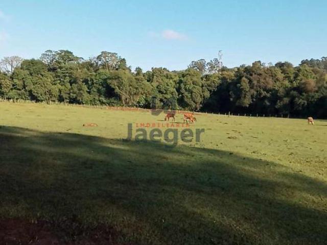 Sítio e chácara venda em Região Geográfica Imediata de Santo Ângelo, Santo Angelo