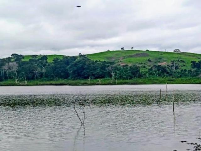 Sítio e chácara venda em Região Geográfica Imediata de Lavras, Nepomuceno
