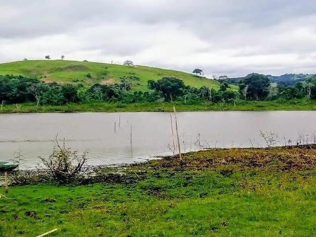 Sítio e chácara venda em Região Geográfica Imediata de Lavras, Nepomuceno