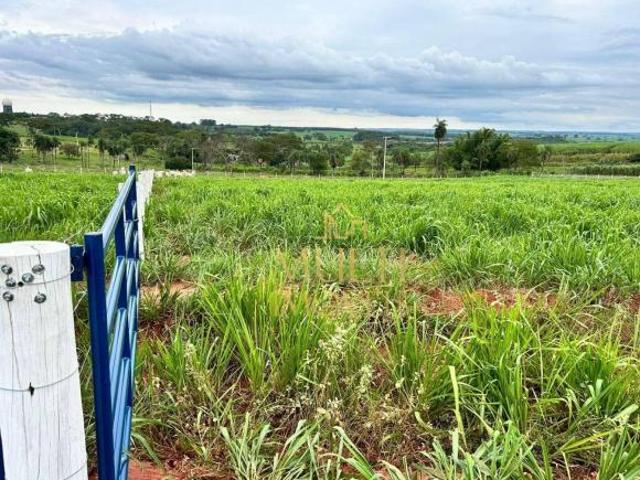 Sítio e chácara venda em Região Imediata de São José do Rio Preto, Região Metropolitana de São José do Rio Preto