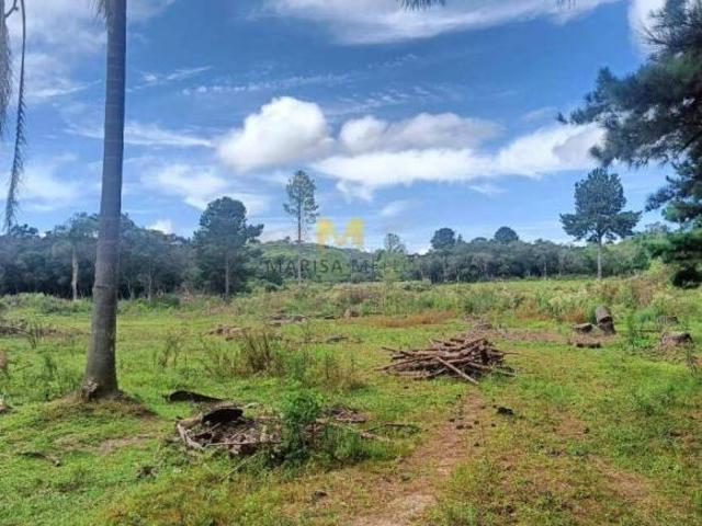 Sítio e chácara venda em Região Geográfica Imediata de Curitiba, Região Metropolitana de Curitiba