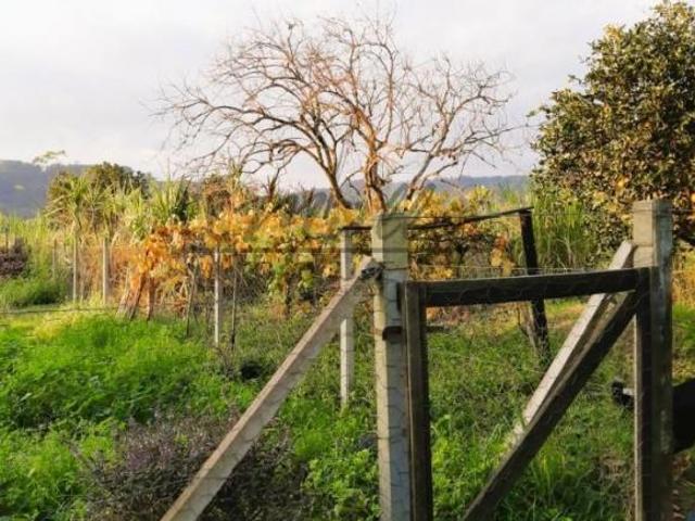 Sítio e chácara venda em Região Geográfica Imediata de Santa Cruz do Sul, Santa Cruz do Sul