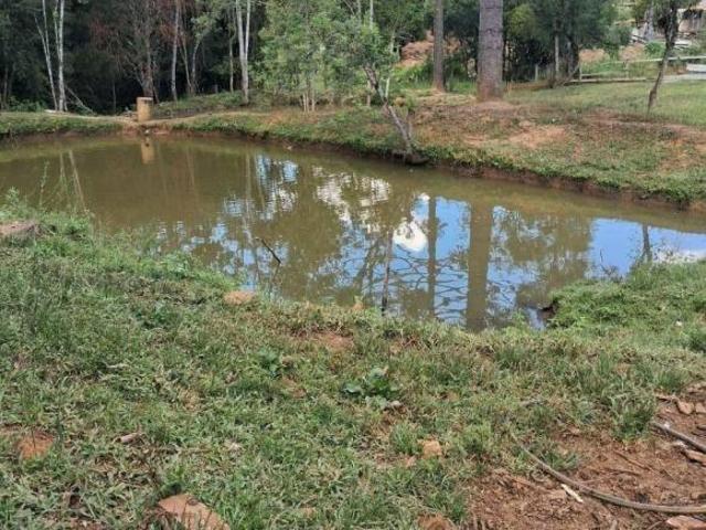 Sítio e chácara venda em Região Geográfica Imediata de Irati, Irati