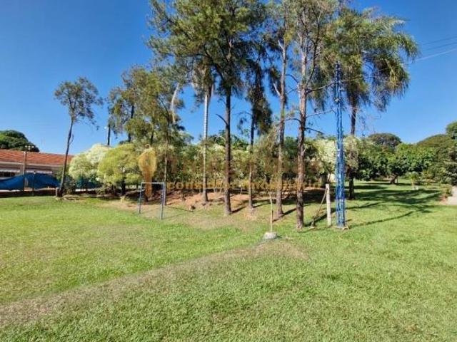 Sítio e chácara venda em Região Imediata de Catanduva, Jataúba