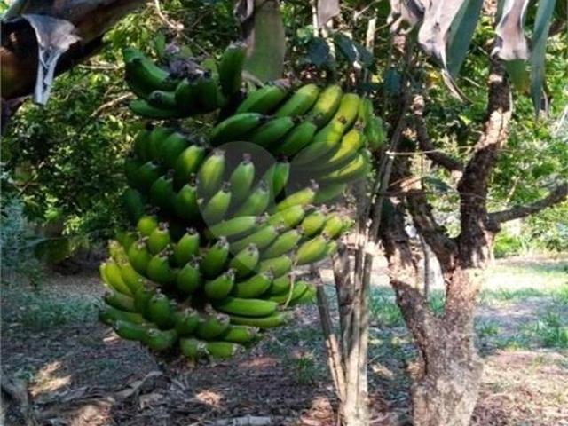Sítio e chácara venda em Região Imediata de Jundiaí, Jundiaí