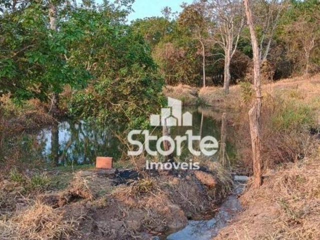Sítio e chácara venda em Região Geográfica Imediata de Uberlândia, Araguari
