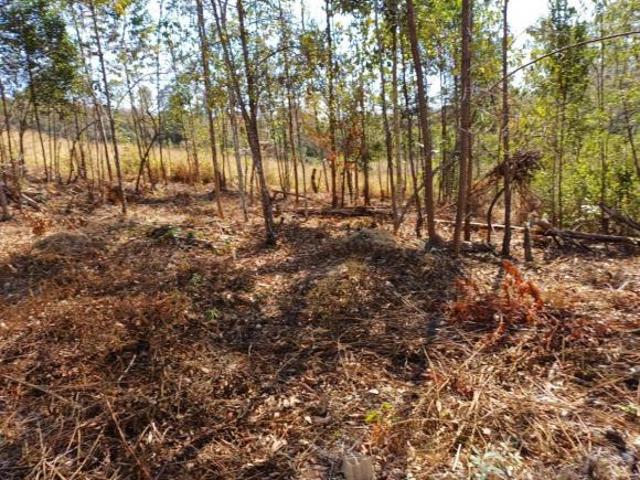 Sítio e chácara venda em Região Geográfica Imediata de Oliveira, Piedade dos Gerais