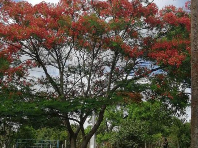 Sítio e chácara venda em Região Imediata de Itapetininga, Região Metropolitana de Sorocaba