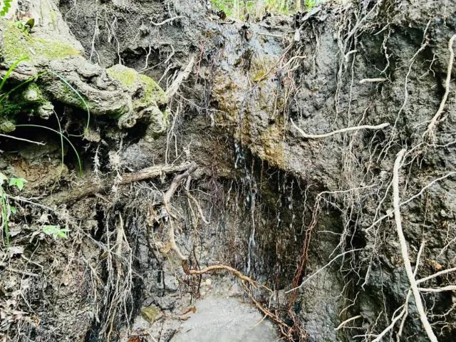 Fazenda venda em Região Geográfica Imediata de Piracanjuba, Professor Jamil
