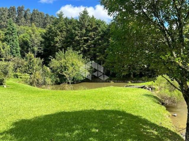Sítio e chácara venda em Fazenda Souza, Caxias do Sul