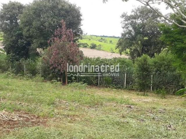 Sítio e chácara venda em Região Geográfica Imediata de Londrina, Londrina