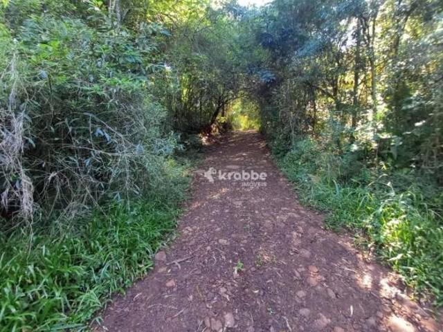 Sítio e chácara venda em Região Geográfica Imediata de Lajeado, Estrela