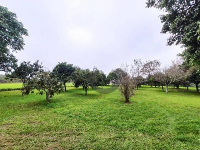 Sítio e chácara venda em Região Geográfica Imediata de Santa Cruz do Sul, Santa Cruz do Sul
