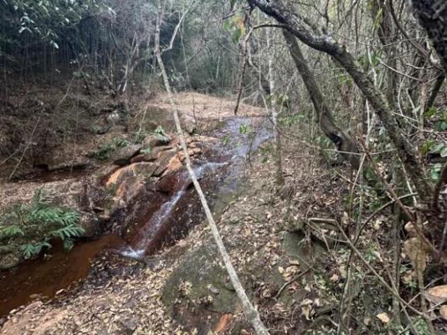Sítio e chácara venda em Região Geográfica Imediata de Ipatinga, Região Metropolitana do Vale do Aço