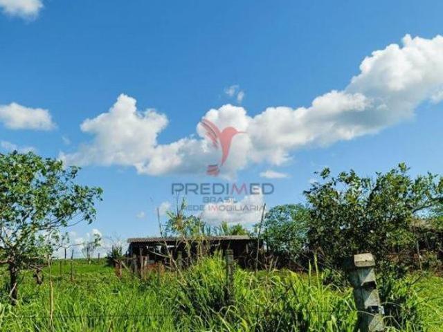 Sítio e chácara venda em São Miguel do Iguaçu, Região Geográfica Intermediária de Cascavel