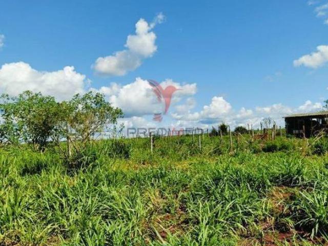 Sítio e chácara venda em Região Geográfica Imediata de Foz do Iguaçu, São Miguel do Iguaçu