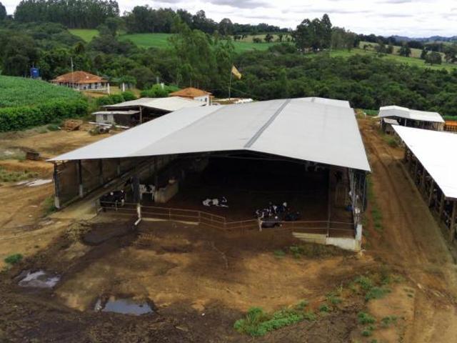 Sítio e chácara venda em Região Geográfica Imediata de Alfenas, Carvalhópolis
