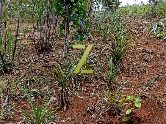 Sítio e chácara venda em Região Imediata de Sorocaba, Região Metropolitana de Sorocaba