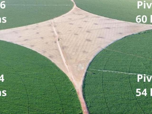 Sítio e chácara venda em Região Geográfica Imediata de Patos de Minas, Paracatu