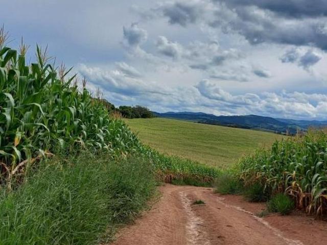 Sítio e chácara venda em Região Geográfica Imediata de São Francisco, São Francisco