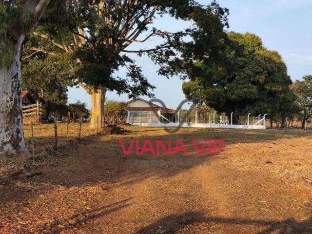 Sítio e chácara venda em Região Imediata de Dracena, São João do Pau d'Alho