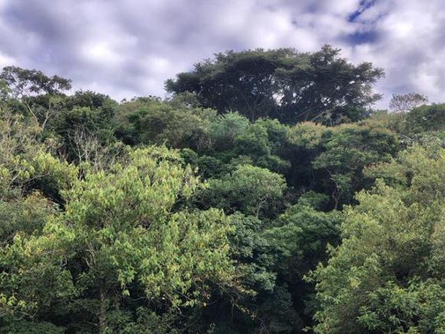 Sítio e chácara venda em Região Geográfica Imediata de Poços de Caldas, Ibitiúra de Minas