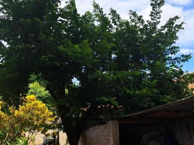 Sítio e chácara venda em Região Imediata de São José do Rio Preto, Região Metropolitana de São José do Rio Preto
